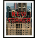 NEW YORK 013