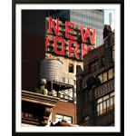 NEW YORK 014