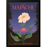 Mapache