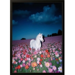 White Horse