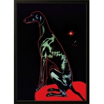 Black Dog