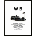 Car W15