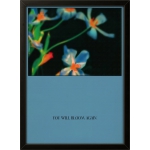 You Will Bloom Again