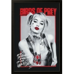 BIRDS OF PREY