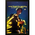 Never Forget The Promise