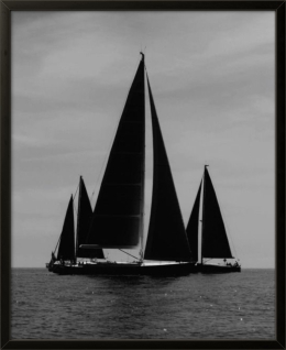 Yatch Club 005
