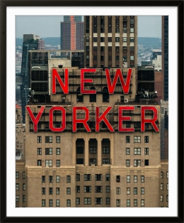 NEW YORK 013