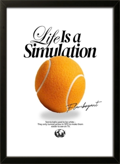 Life Is A Simulation