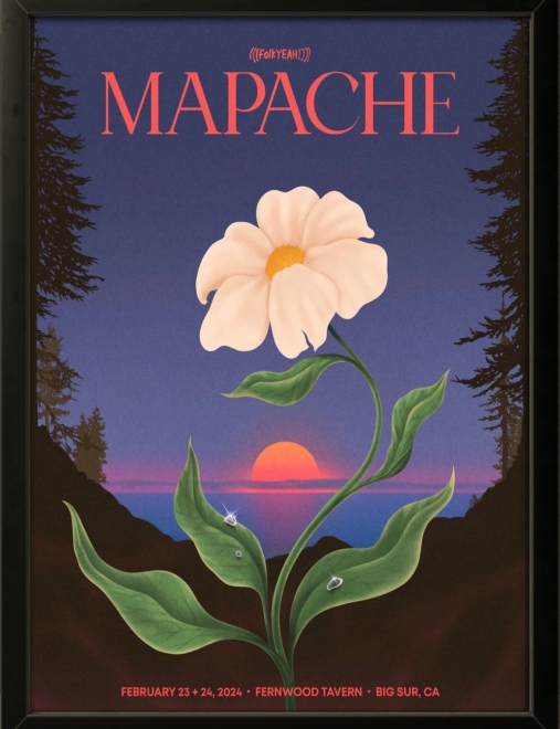 Mapache