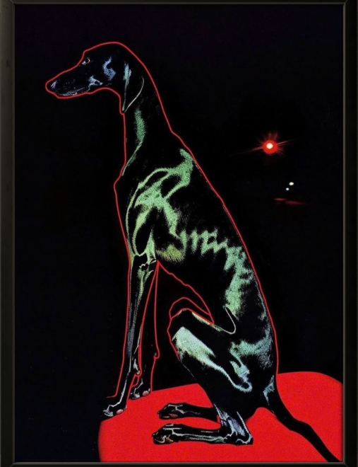 Black Dog