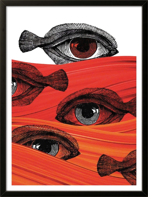 FISH EYES