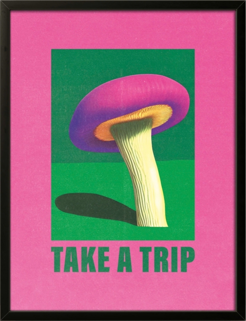 Take A Trip
